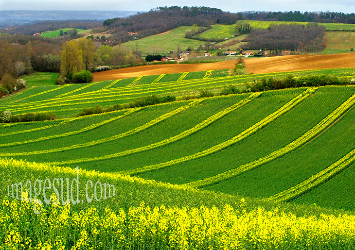 GÃ©omÃ©trie campagnarde : paysage rural en France, Dordogne, Aquitaine